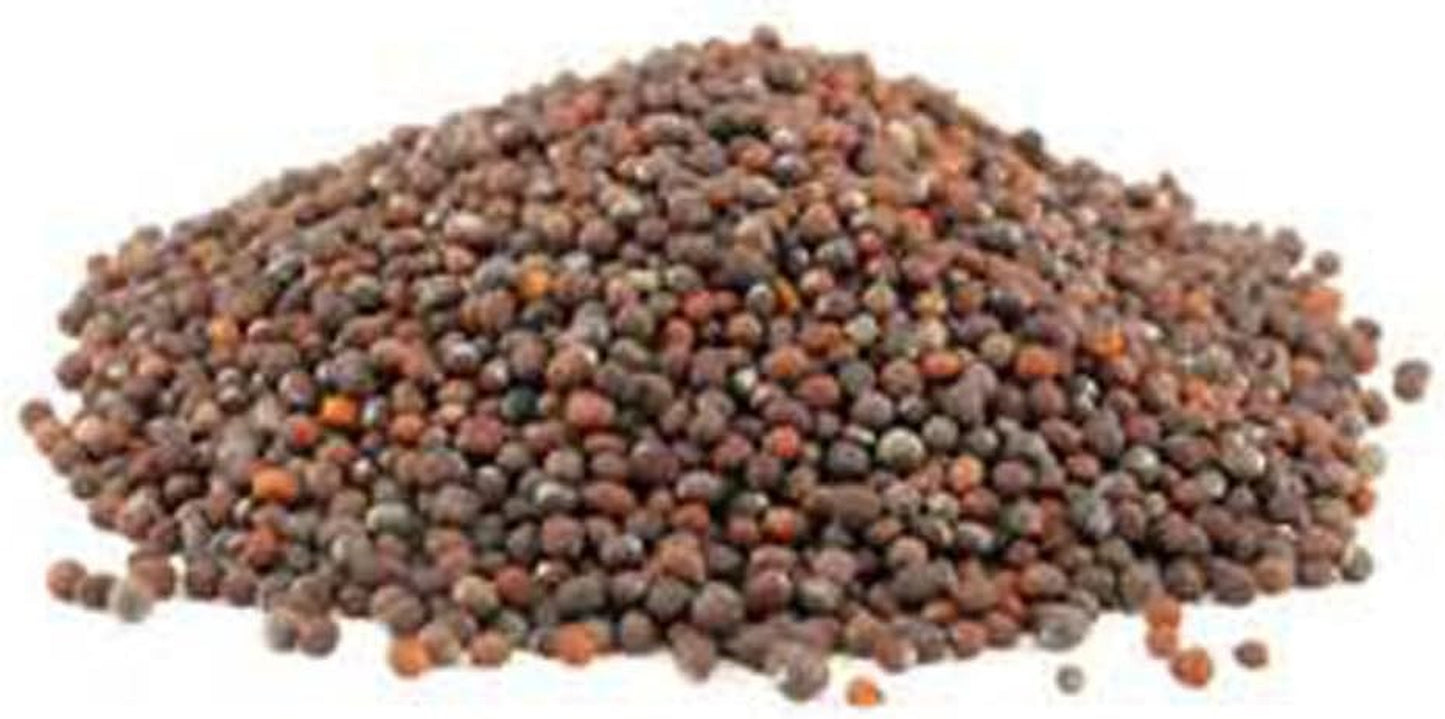 Non-Gmo Broccoli Seeds for Sprouting Sprouts Microgreens - Broccoli Sprouts 2Oz