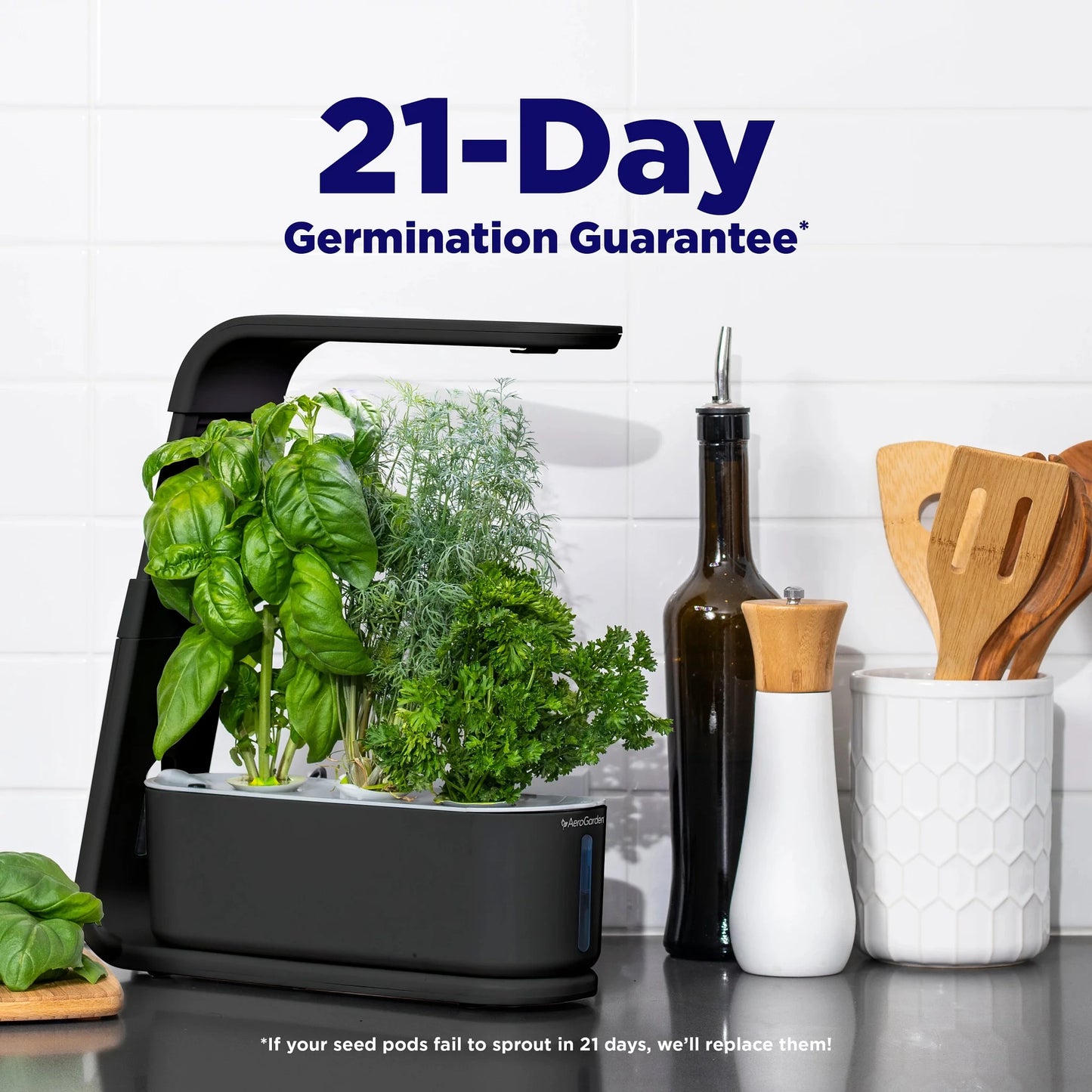 Sprout with Gourmet Herbs Seed Pod Kit, Black